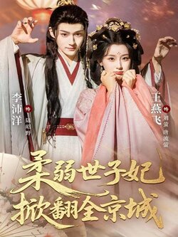 柔弱世子妃掀翻全京城_枫叶短剧聚合网