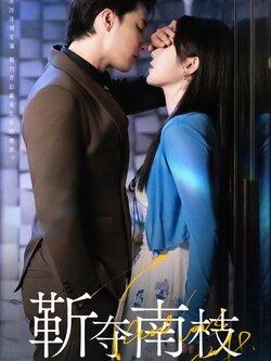 靳夺南枝_枫叶短剧聚合网