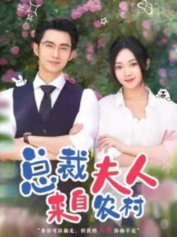 总裁夫人来自农村