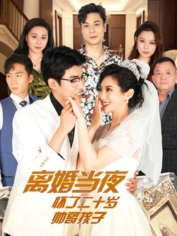 离婚当夜怀了二十岁帅哥