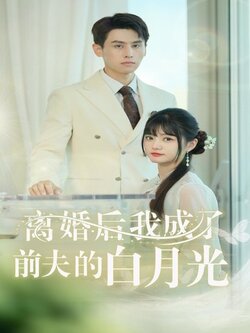 离婚后我成了前夫的白月光