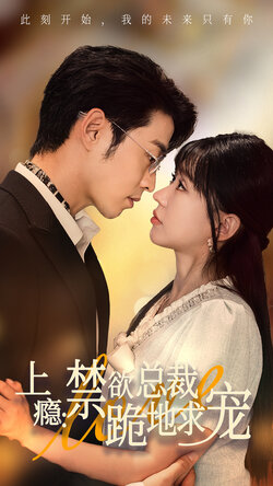 上瘾禁欲总裁跪地求宠