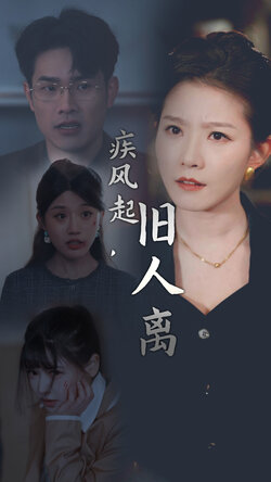 疾风起旧人离_枫叶短剧聚合网