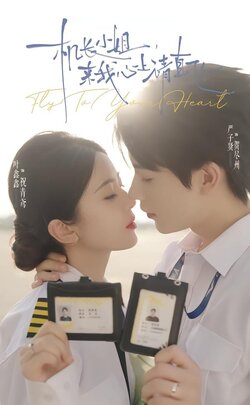 机长小姐，来我心上请直飞_枫叶短剧聚合网