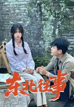 东北往事_枫叶短剧聚合网