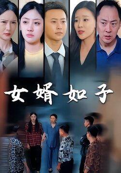 女婿如子_枫叶短剧聚合网