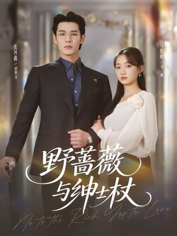 野蔷薇与绅士杖_枫叶短剧聚合网