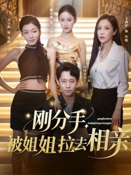 刚分手，被姐姐拉去相亲_枫叶短剧聚合网