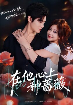 在他心上种蔷薇_枫叶短剧聚合网