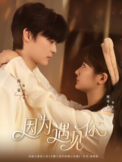 因为遇见你_枫叶短剧聚合网
