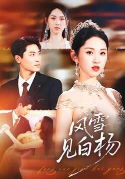 风雪见白杨_枫叶短剧聚合网