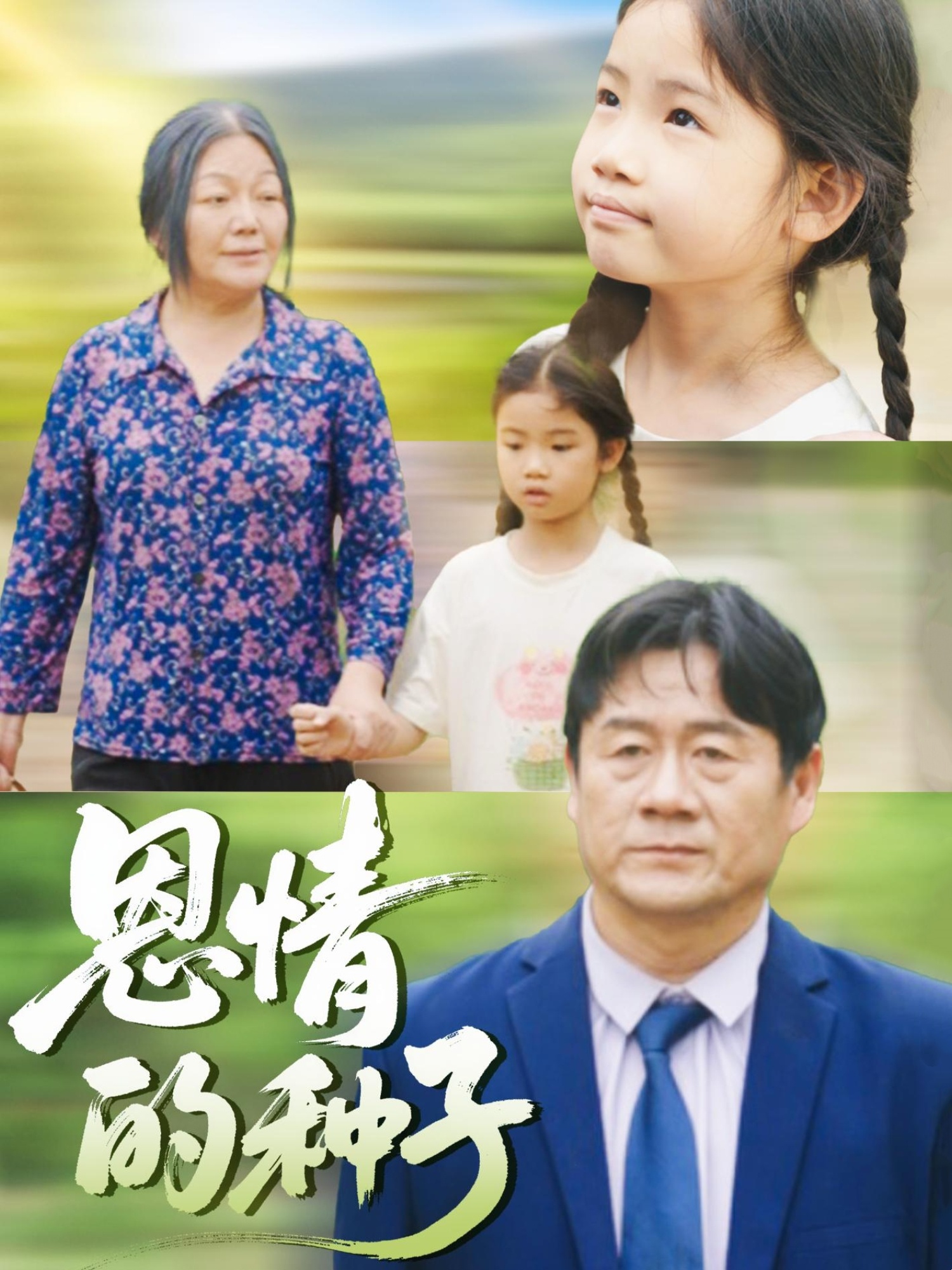 恩情的种子_枫叶短剧聚合网