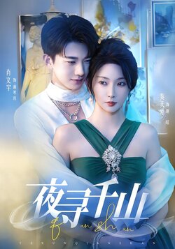 夜寻千山_枫叶短剧聚合网