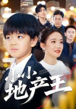 小小地产王_枫叶短剧聚合网