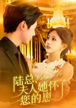 陆总，夫人她怀了您的崽_枫叶短剧聚合网