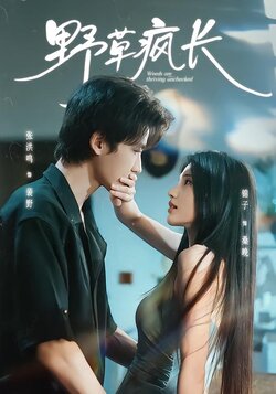 野草疯长_枫叶短剧聚合网