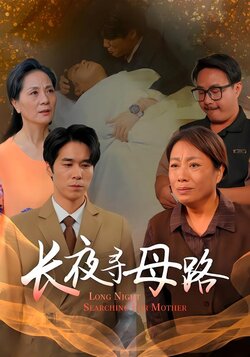 长夜寻母路_枫叶短剧聚合网