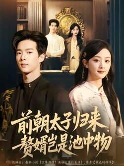 前朝太子归来，赘婿岂是池中物_枫叶短剧聚合网