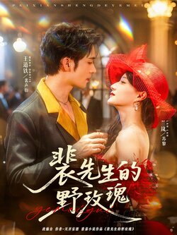 裴先生的野玫瑰_枫叶短剧聚合网