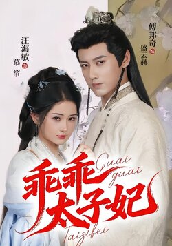 乖乖太子妃_枫叶短剧聚合网