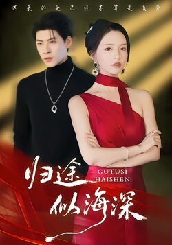 归途似海深_枫叶短剧聚合网