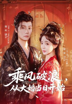 乘风破浪，从大婚当日开始_枫叶短剧聚合网