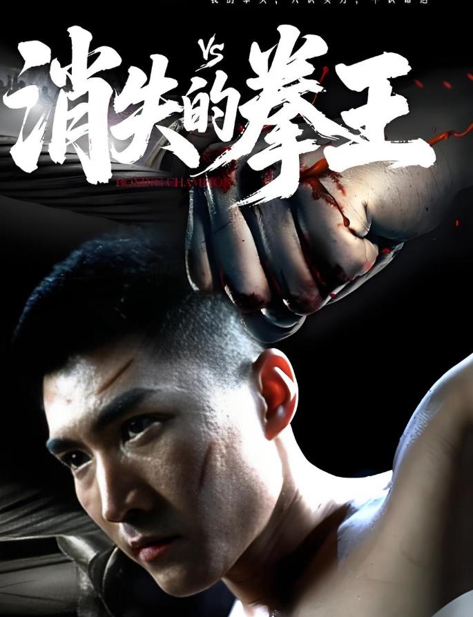消失的拳王_枫叶短剧聚合网