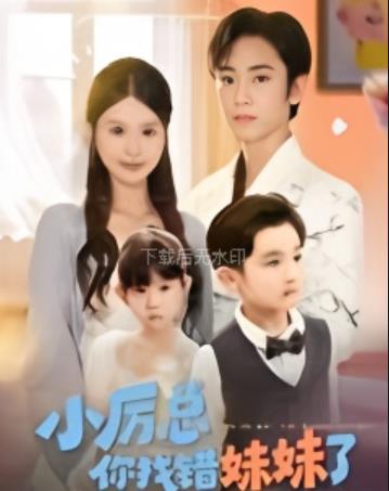 小厉总你找错妹妹了_枫叶短剧聚合网