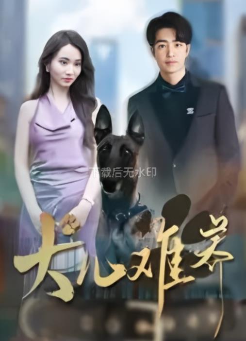 犬儿难养_枫叶短剧聚合网