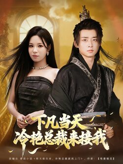 下凡当天，冷艳总裁来接我_枫叶短剧聚合网