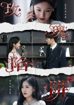 玫瑰陷阱_枫叶短剧聚合网