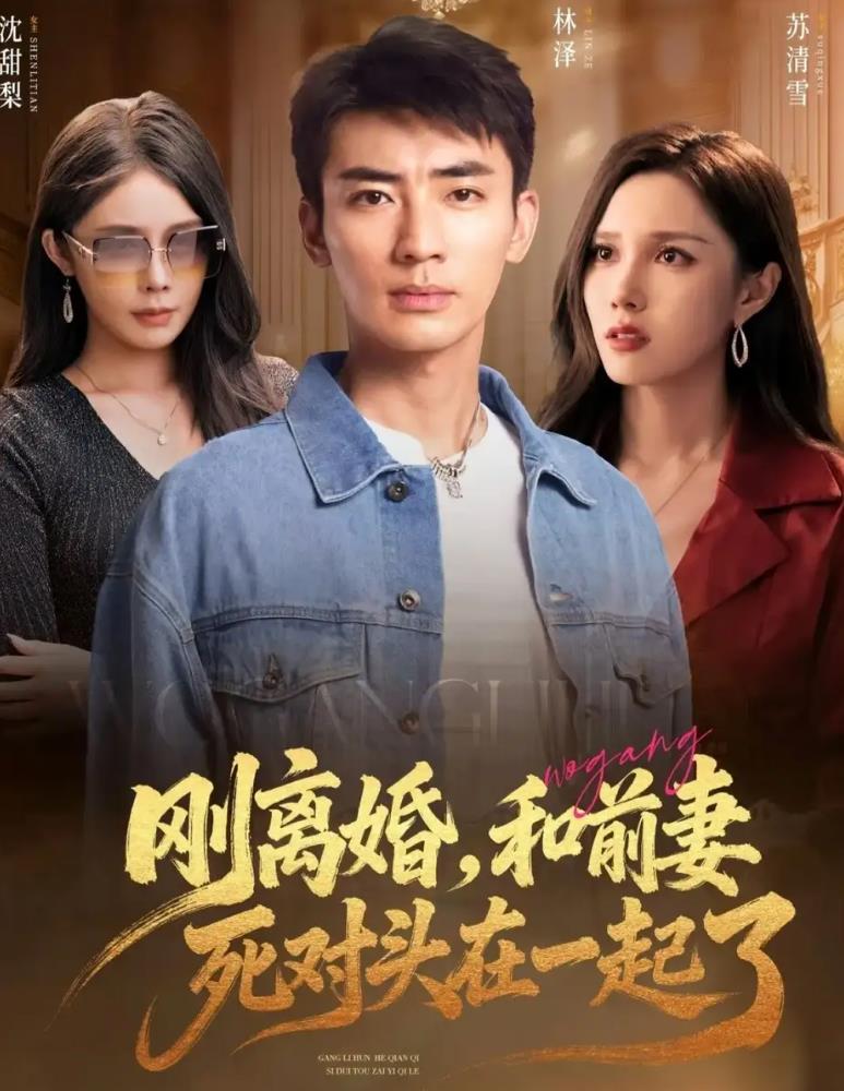 刚离婚,和前妻死对头在一起_枫叶短剧聚合网