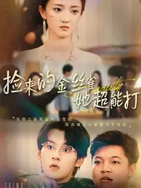 捡来的金丝雀她超能打_枫叶短剧聚合网