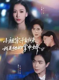 小祖宗千金归来我是他的掌中娇_枫叶短剧聚合网