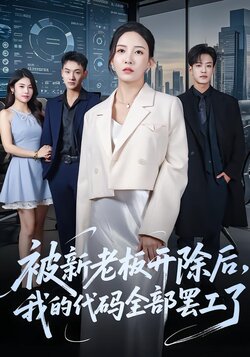 被新老板开除后,我的代码全部罢工了_枫叶短剧聚合网