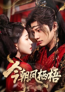 今朝凤栖梧_枫叶短剧聚合网