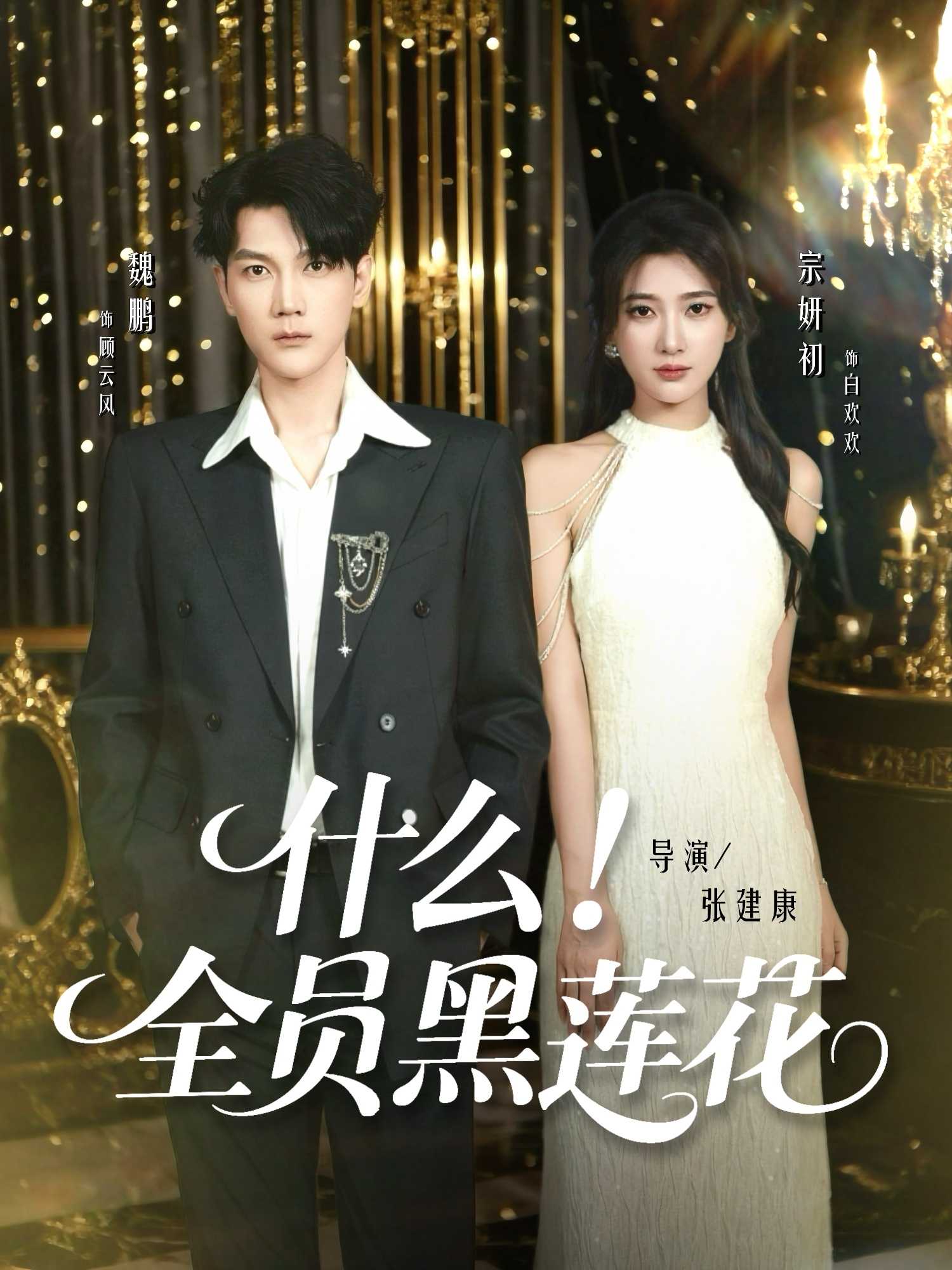 什么全员黑莲花_枫叶短剧聚合网