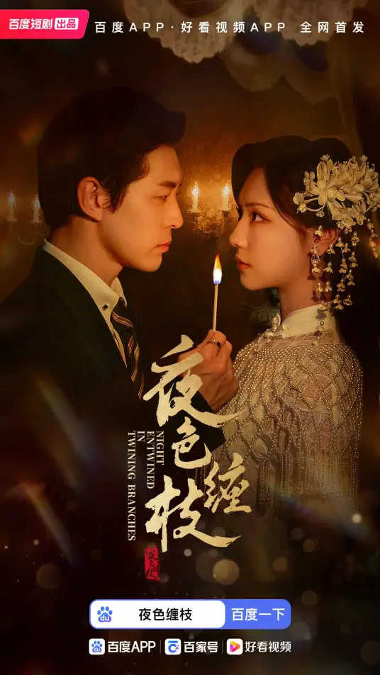 夜色缠枝_枫叶短剧聚合网