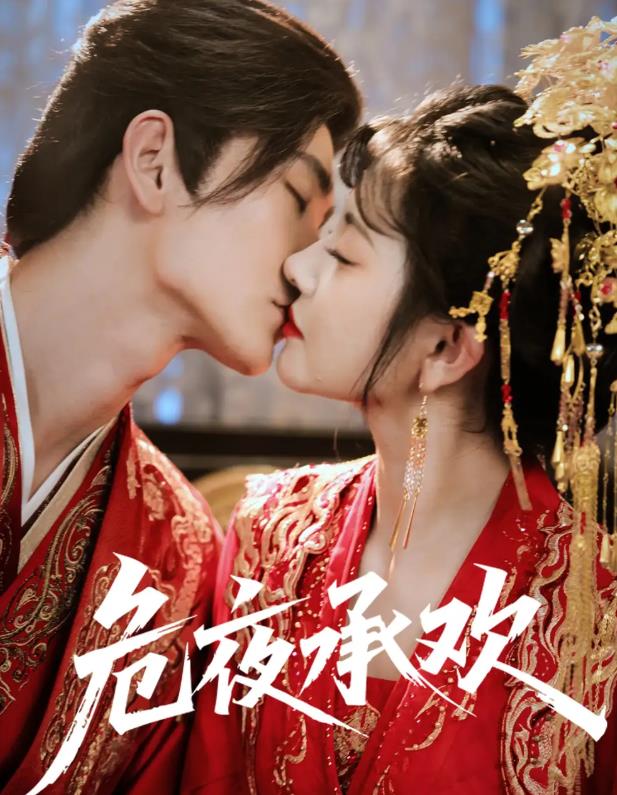 危夜承欢_枫叶短剧聚合网