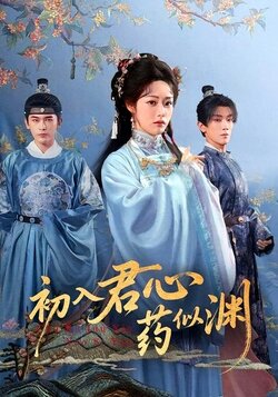初入君心药似渊_枫叶短剧聚合网