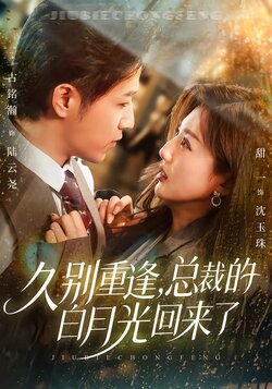 久别重逢，总裁的白月光回来了_枫叶短剧聚合网