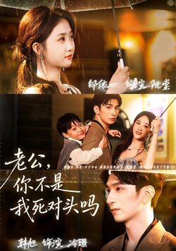 老公，你不是我死对头吗_枫叶短剧聚合网