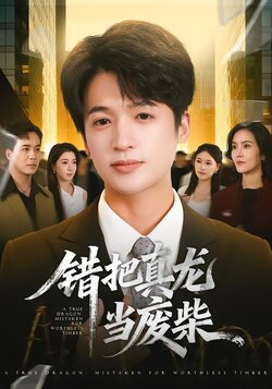 错把真龙当废柴_枫叶短剧聚合网