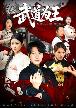 武道为王_枫叶短剧聚合网
