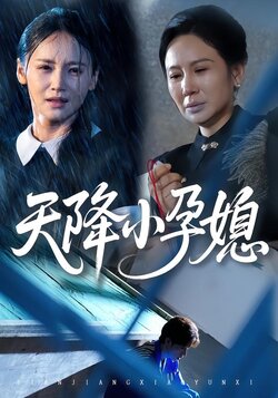 天降小孕媳_枫叶短剧聚合网