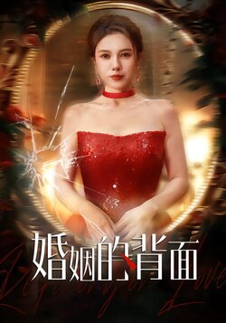 婚姻的背面_枫叶短剧聚合网