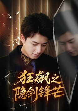 狂飙之隐剑锋芒_枫叶短剧聚合网