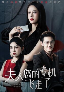夫人您的专机飞走了_枫叶短剧聚合网