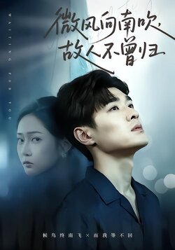 微风向南吹，故人不曾归