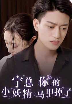 宁总你的小妖精马甲掉了